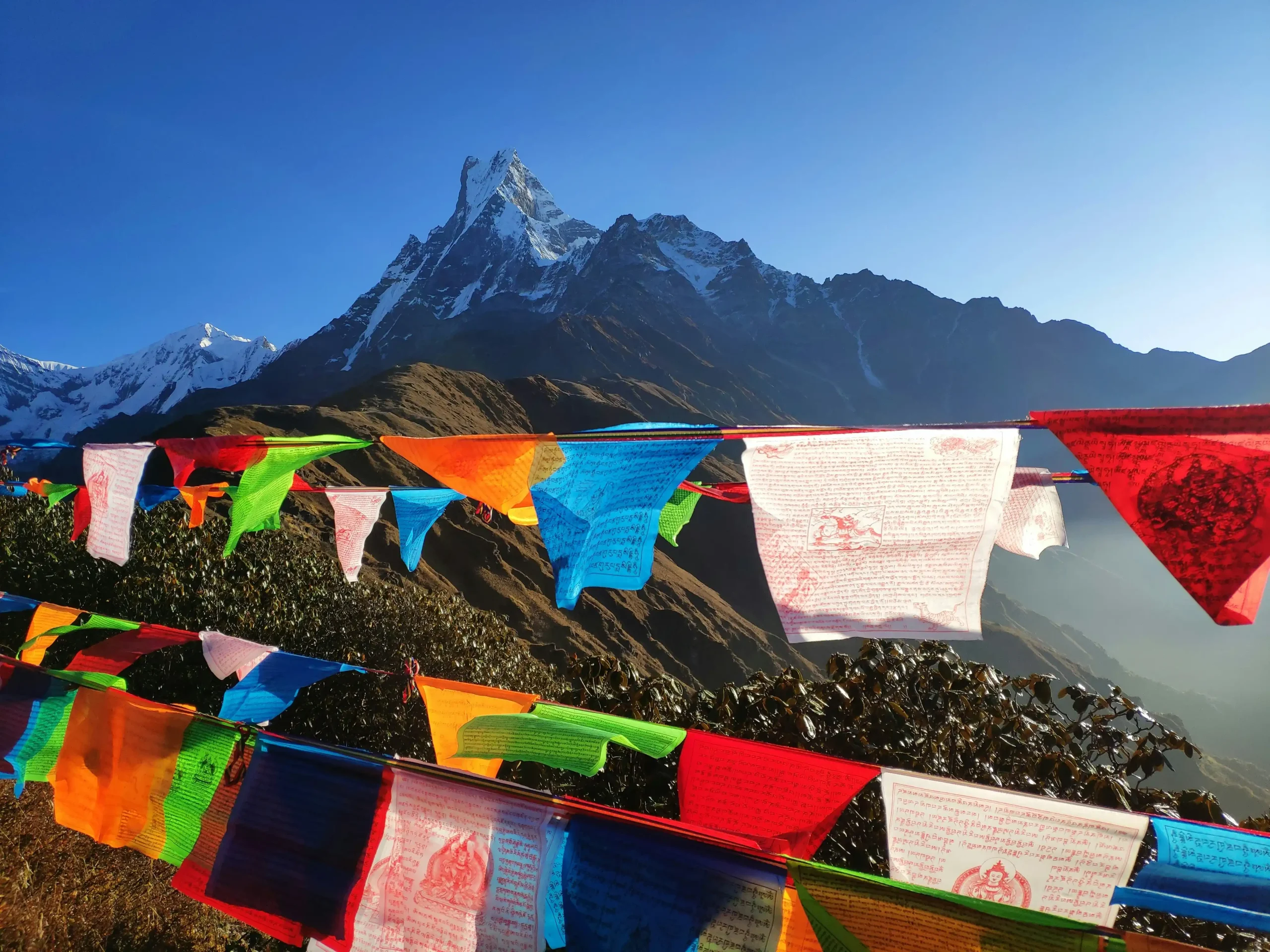 Mardi Himal Base Camp Trek – 10 Day Itinerary, Cost & Map (2026)