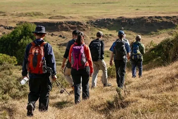 Group hiking