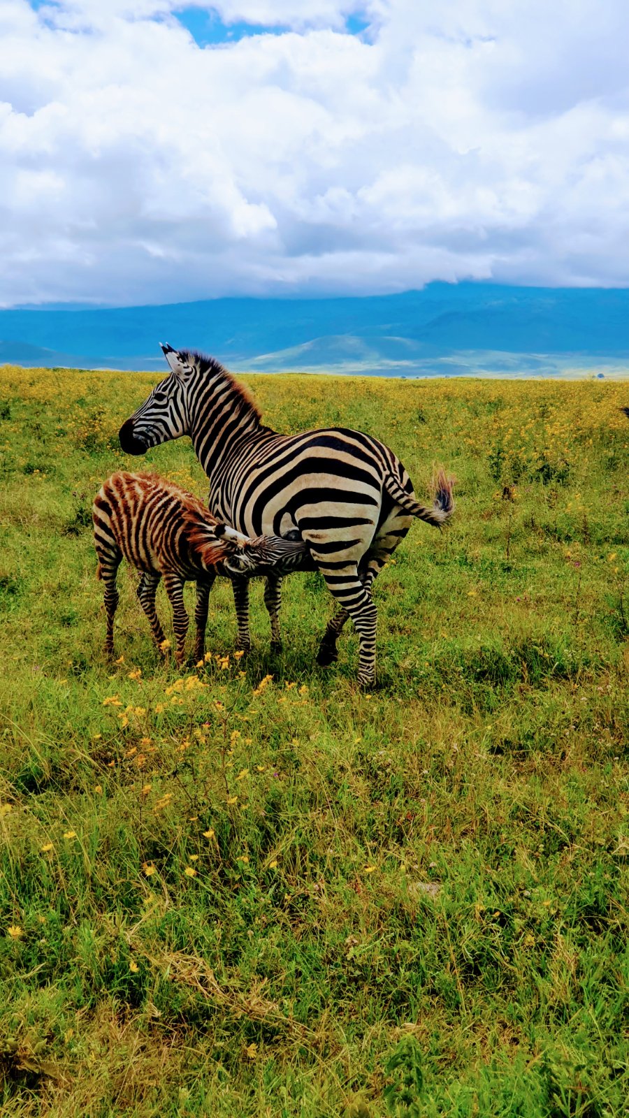 Serengeti National Park