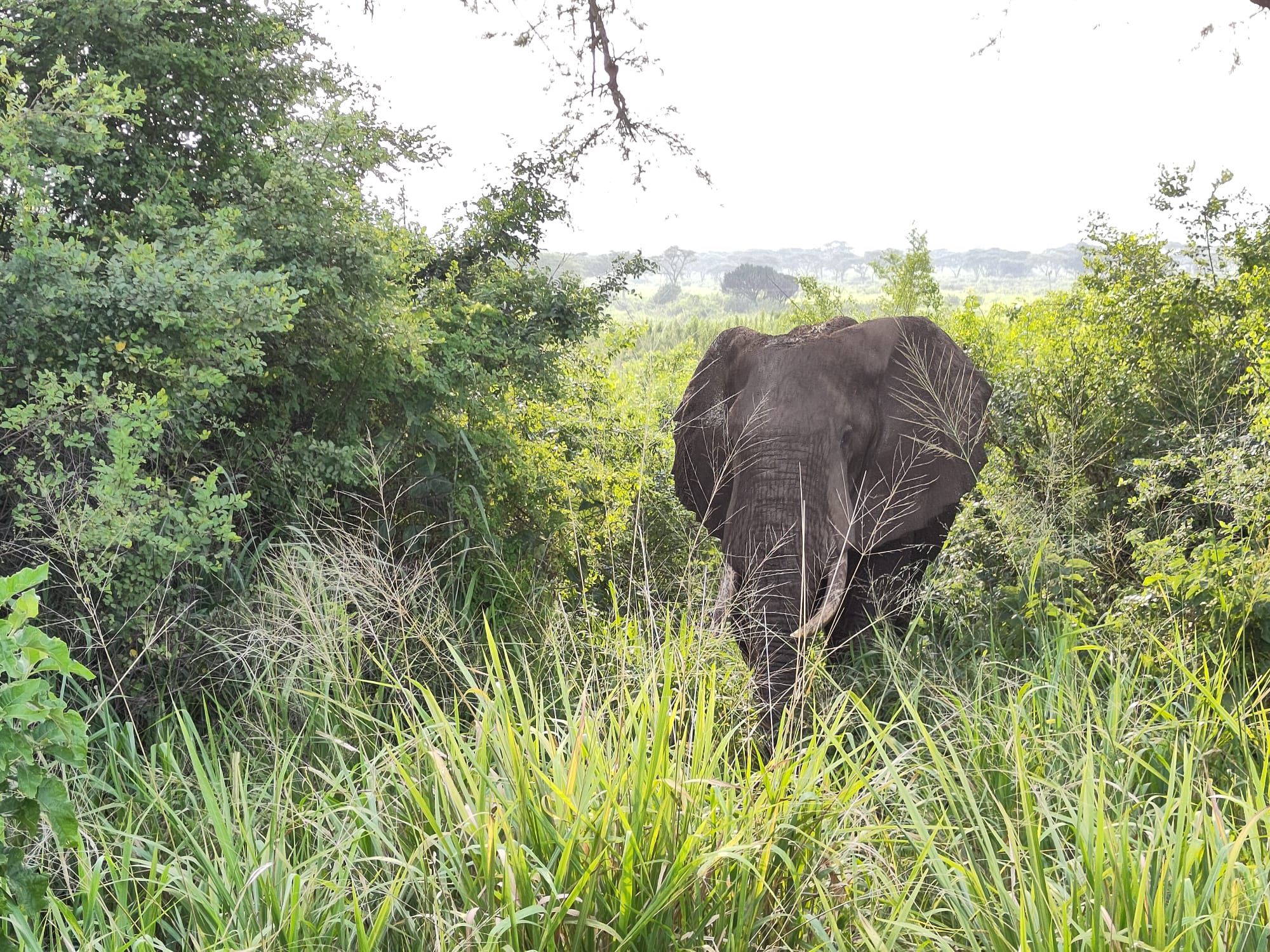 Big five