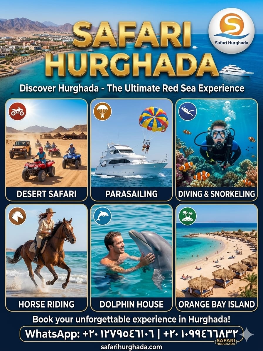 [Dolphin House – Swim with Nature] 🐬🌊 ​Title: Dolphin House Hurghada 2026 | Sw