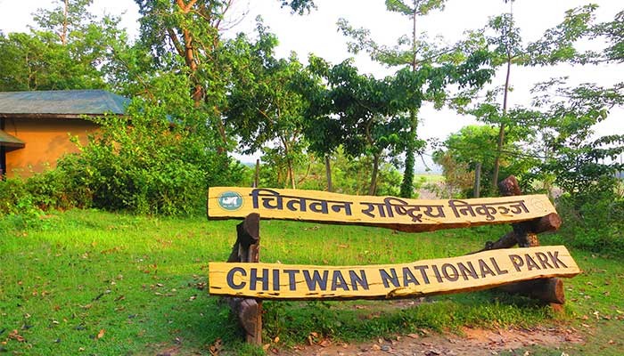 Chitwan Jungle Safari Tour