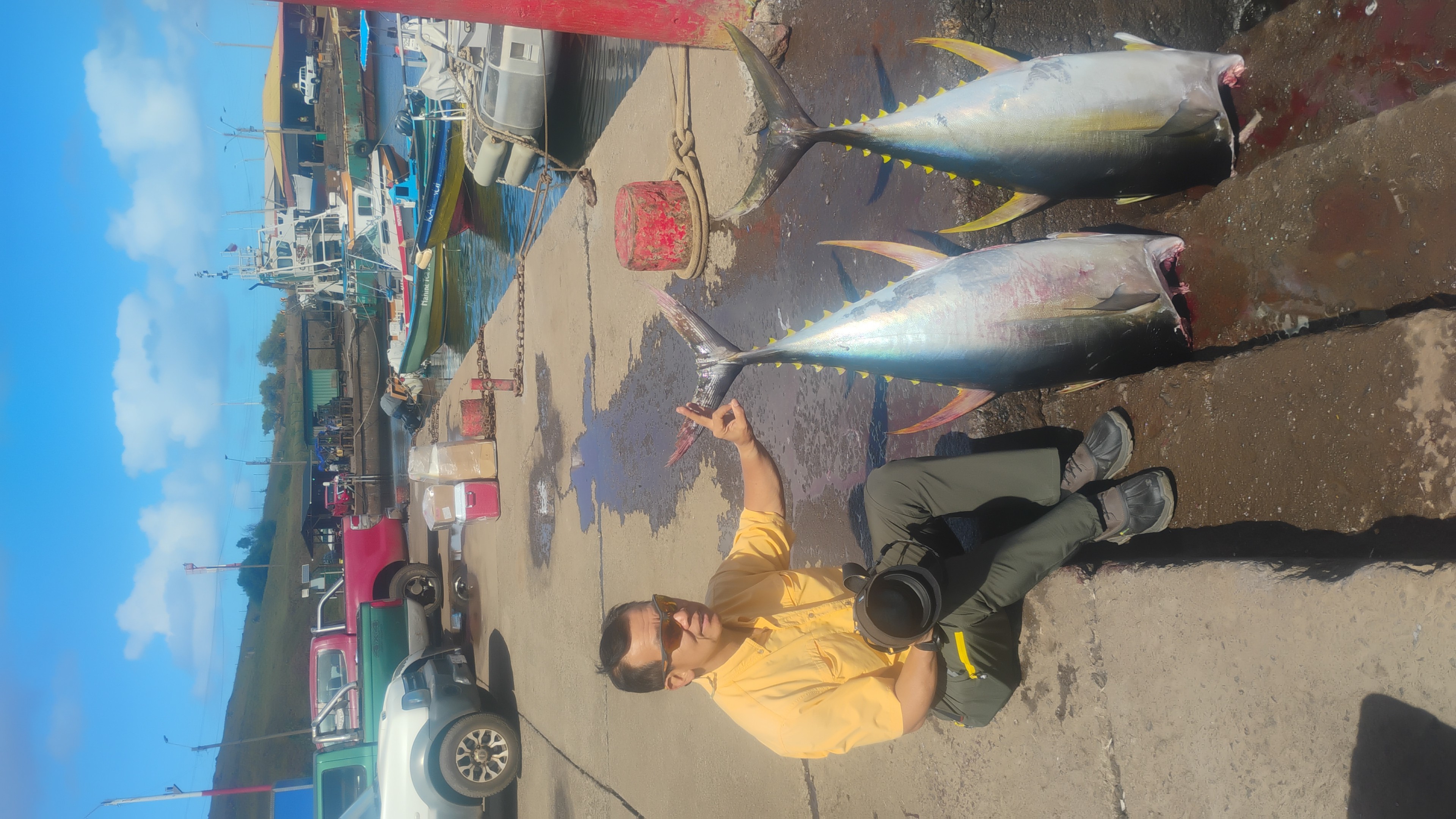 Rapanui tuna fish