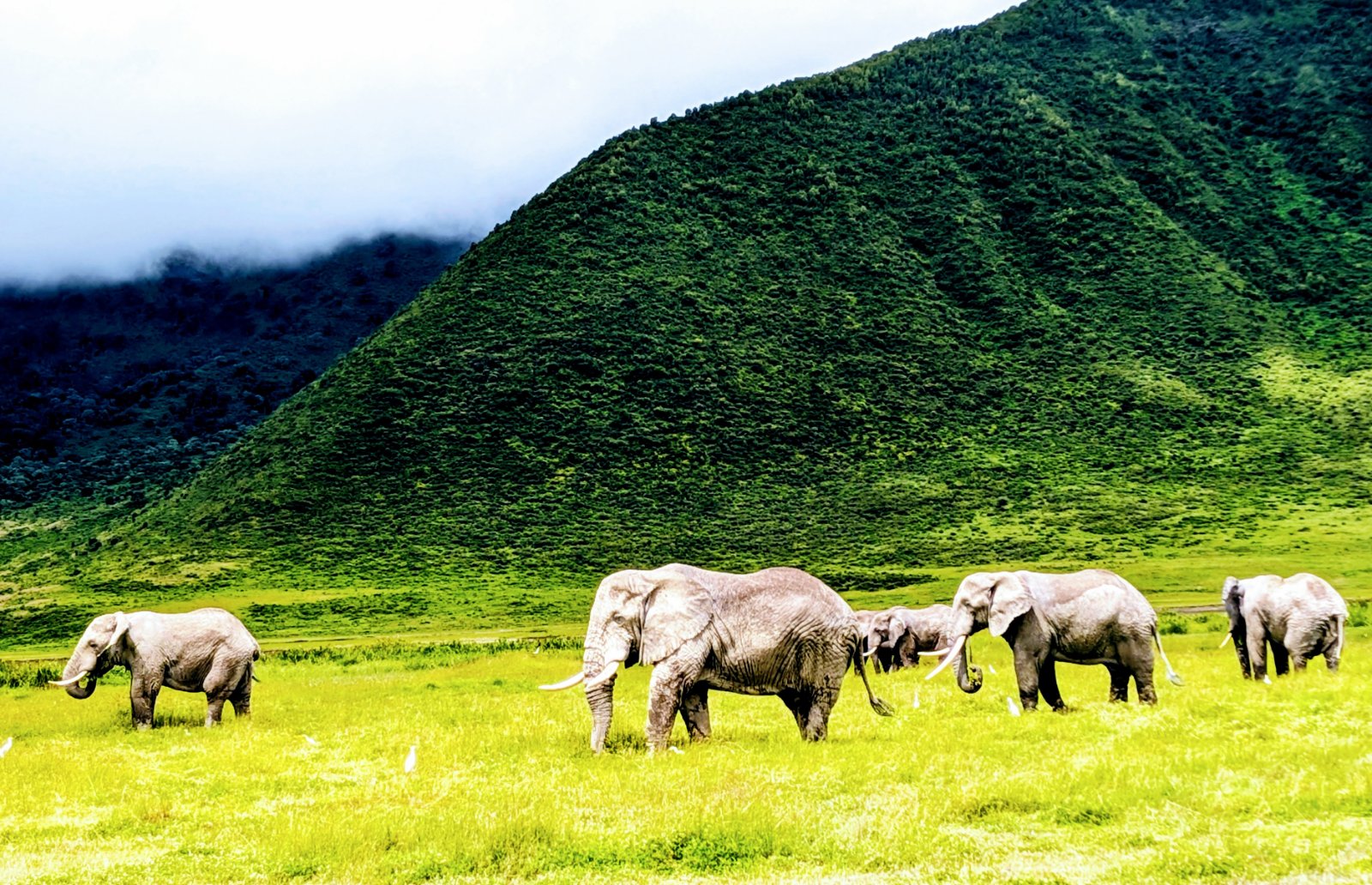 Ngorongoro Crater
