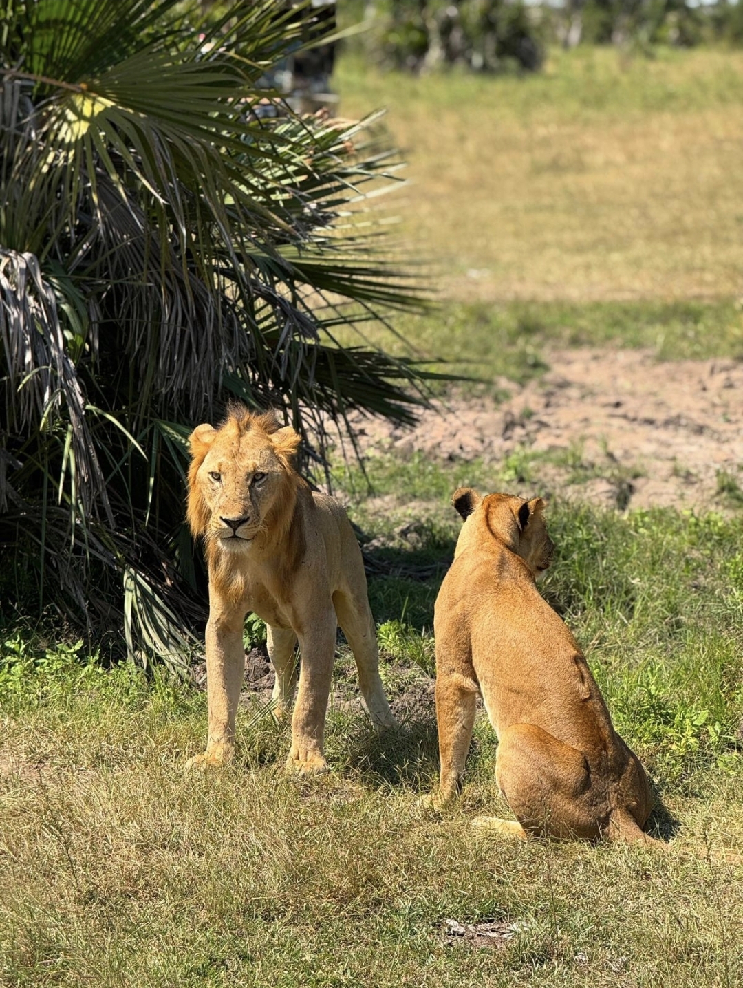 Selous Game Reserve