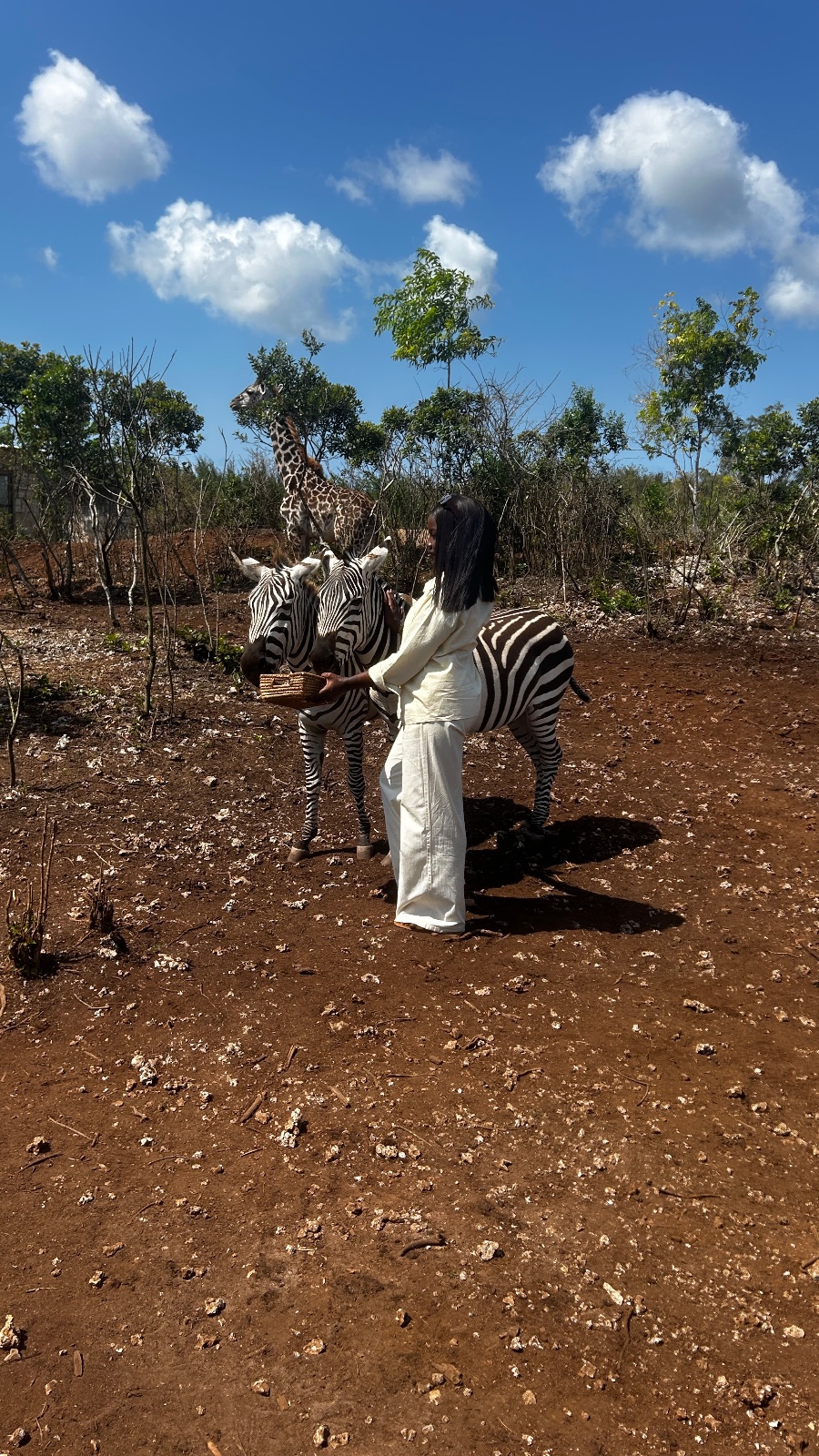 Zakir wildlife
