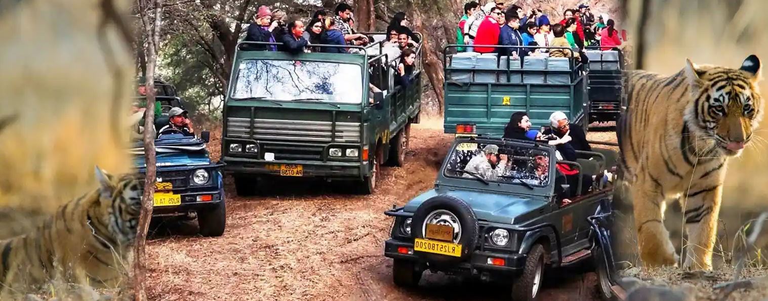 Ranthambore National Park Safari Image