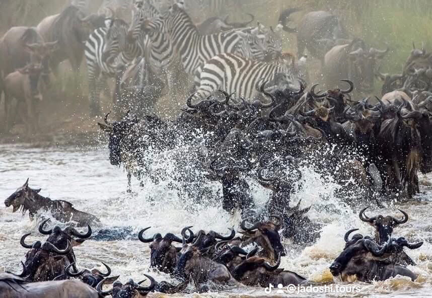 Ngorongoro national park