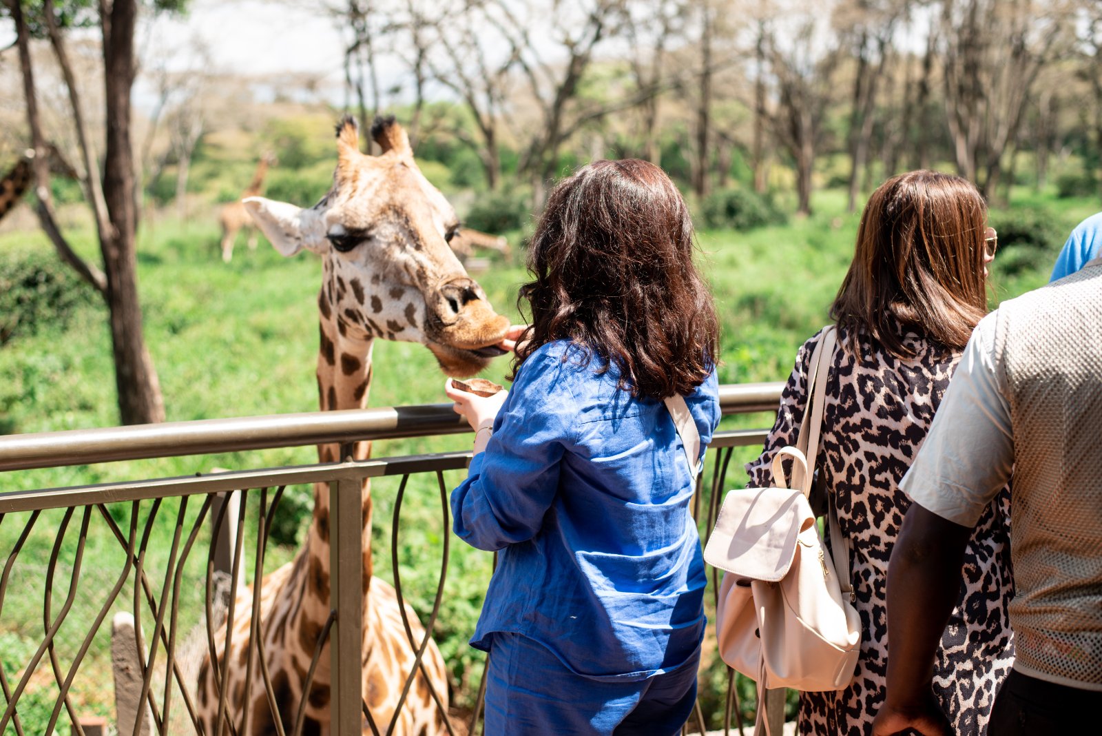 https://trav-interactive.co.ke/booking/8-days-tsavo-east-and-tsavo-national-park