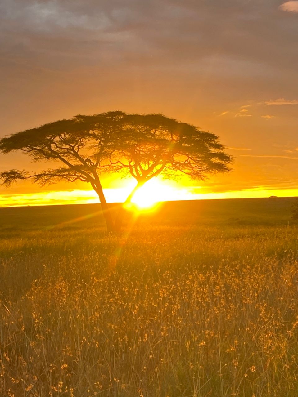Sun set Serengeti National Park