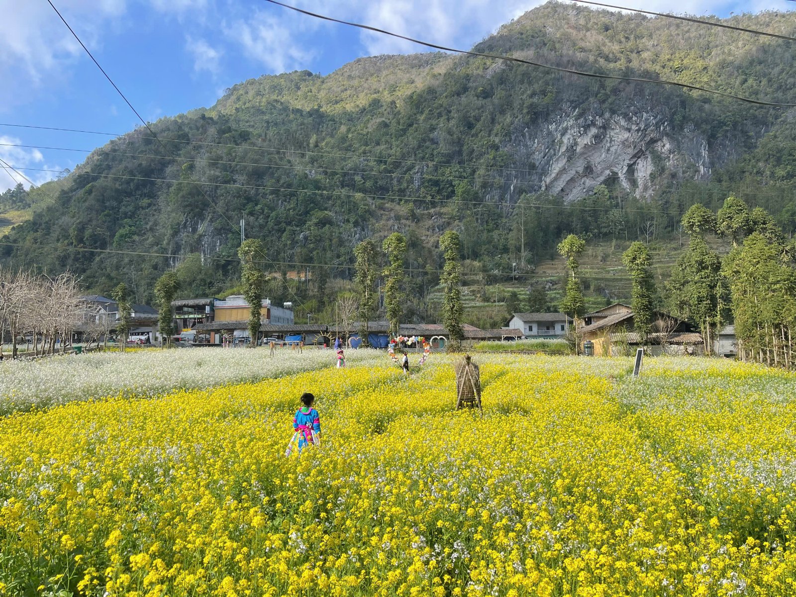 Ha Giang Loop 2D1N