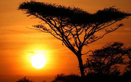 Tours and Packages