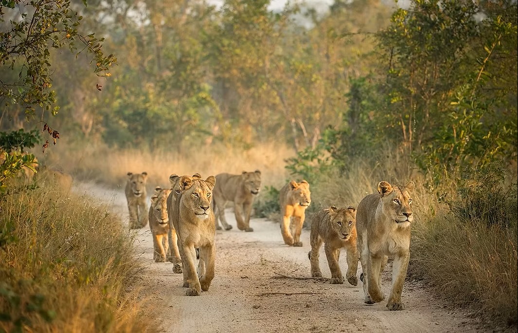 Southern Africa National Parks