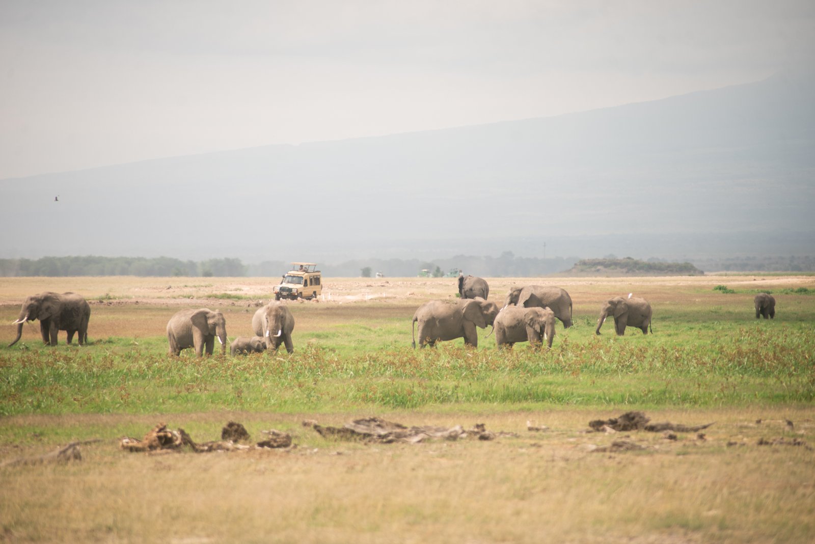 7-Day Kenya Splendors Midrange Safari