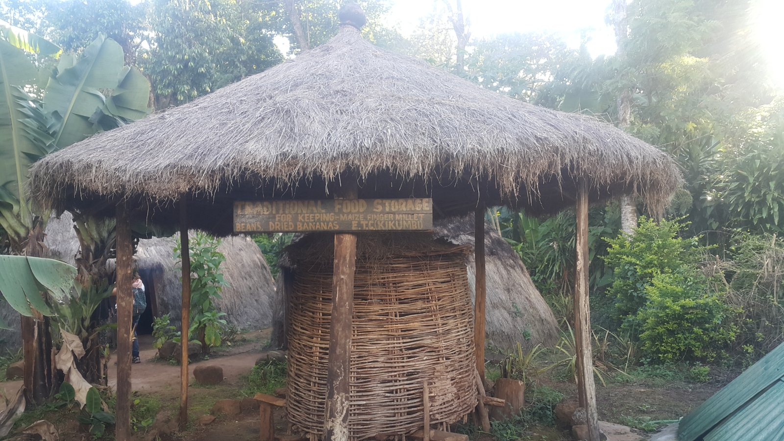 Marangu Village, Ndoro Waterfalls & Coffee Tour | 1 Day Cultural Trip from Moshi