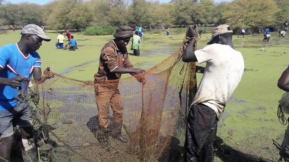 Traditional fishing