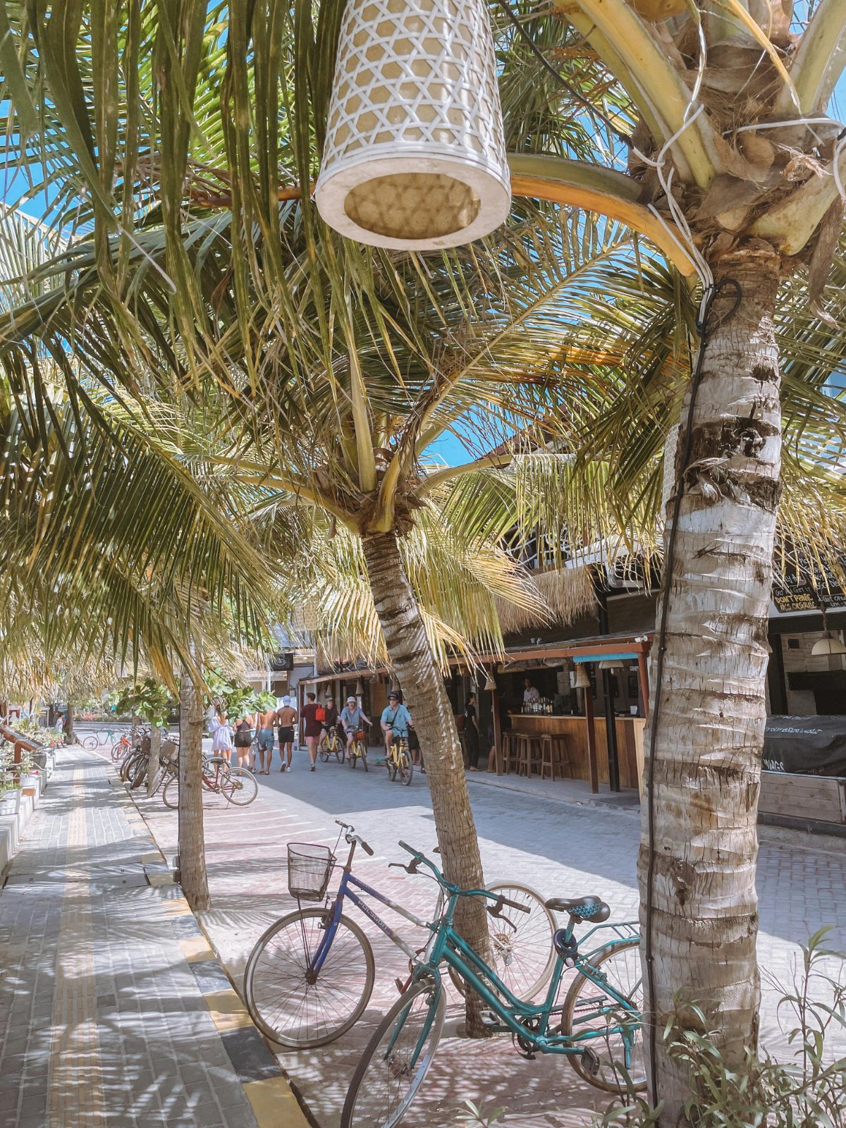 Contact Macadamia Eco Travel Tours