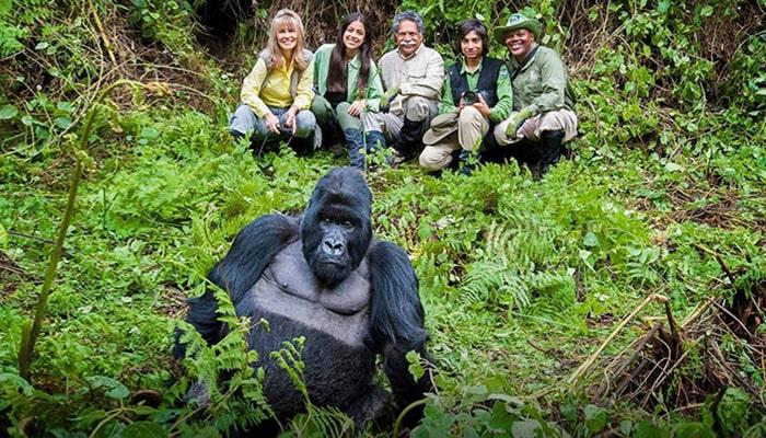 8-Day Gorilla Safari in Uganda and Rwanda