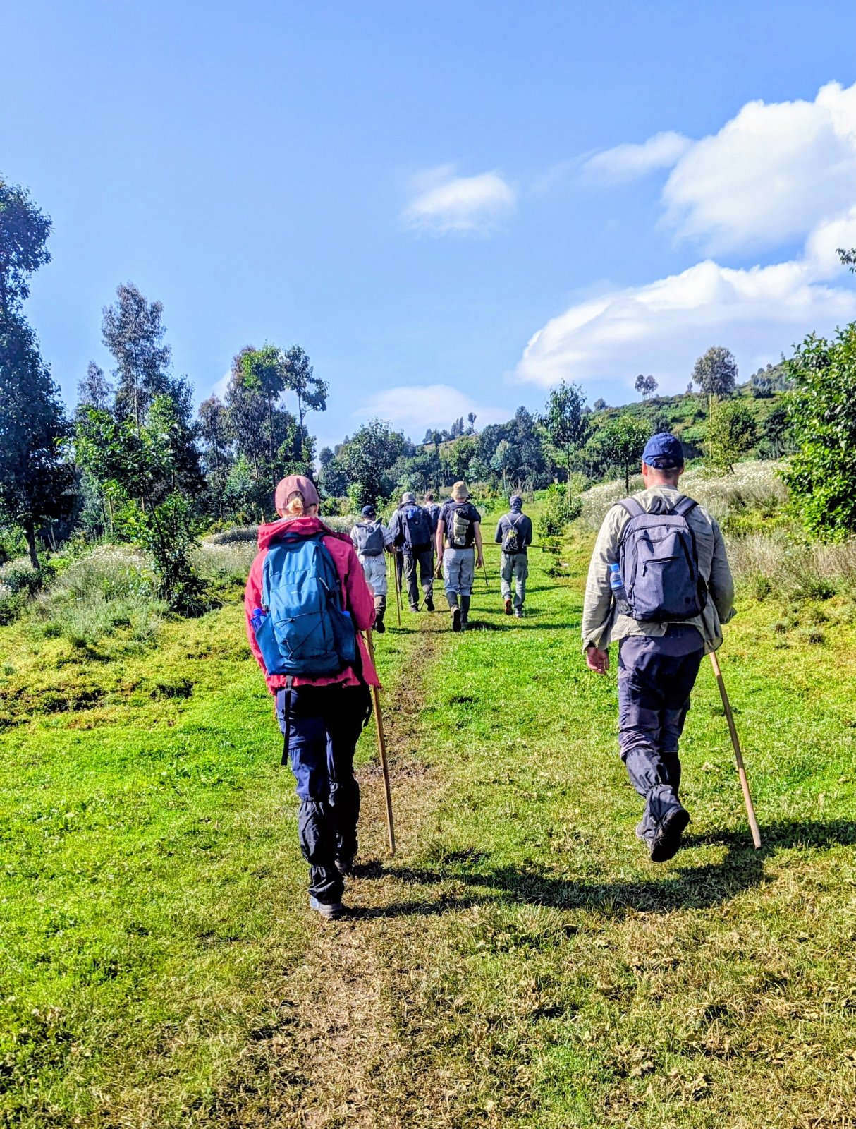 Hiking