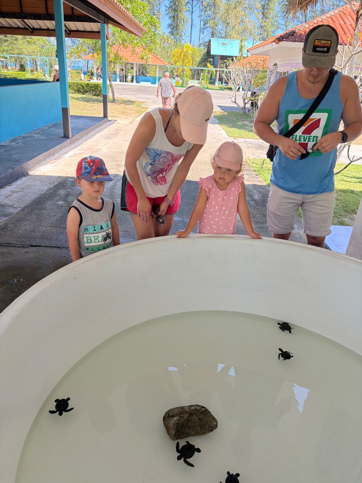 Sea Turtle Conservation