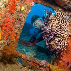 Snorkelling