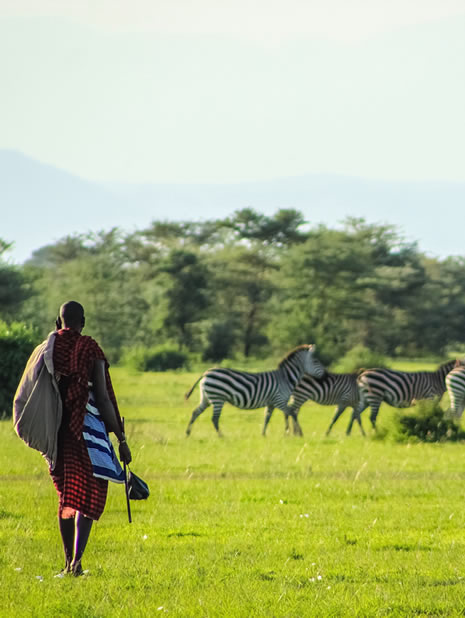 4x4 Road Trips Tanzania - Car hire and Self-Drive Tours