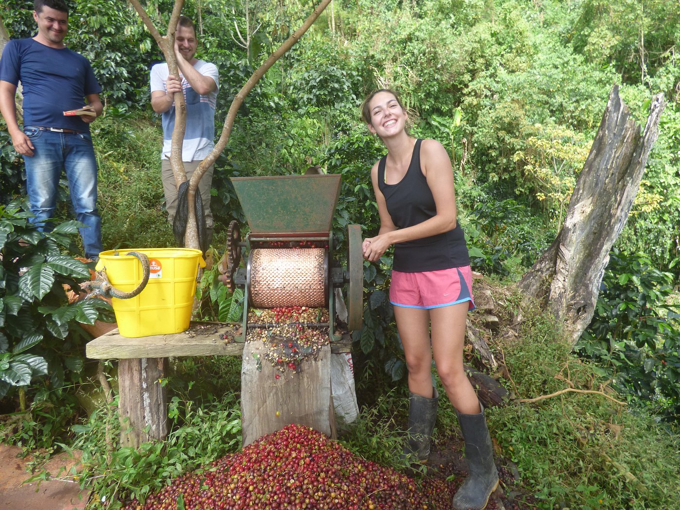 Experiencia de Cafe - Ruta Nymejan