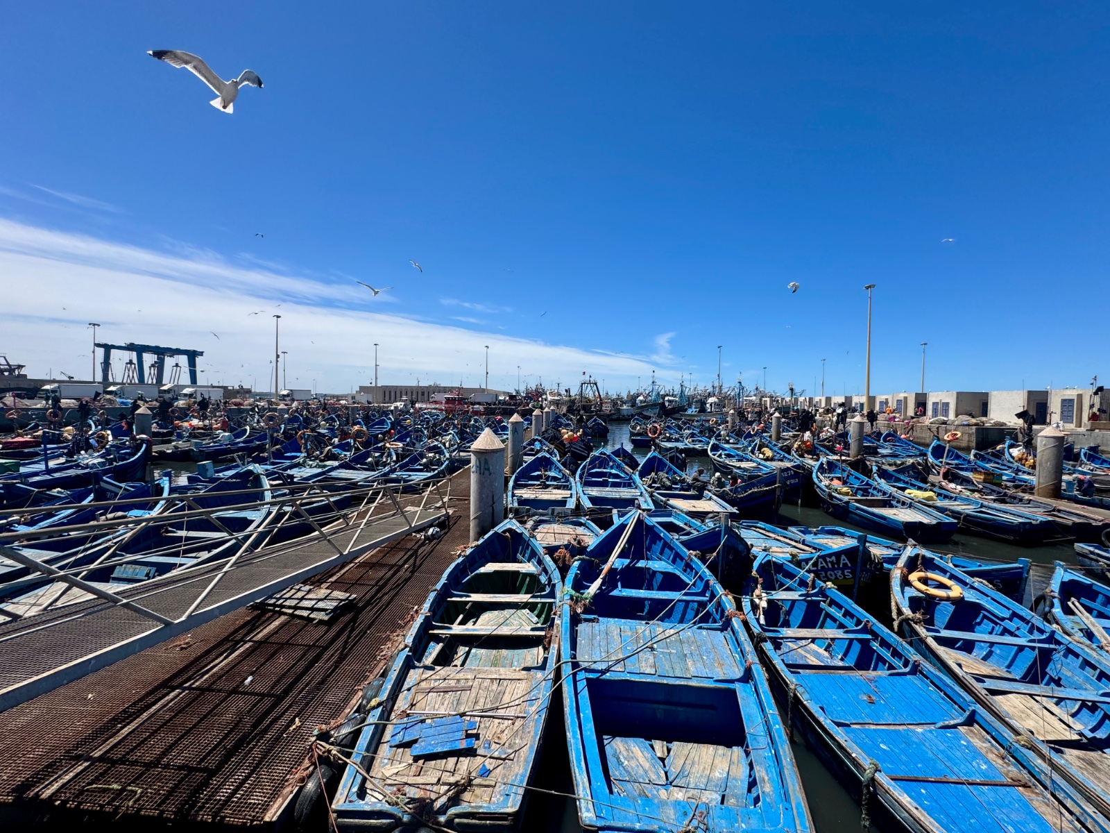 Essaouira city