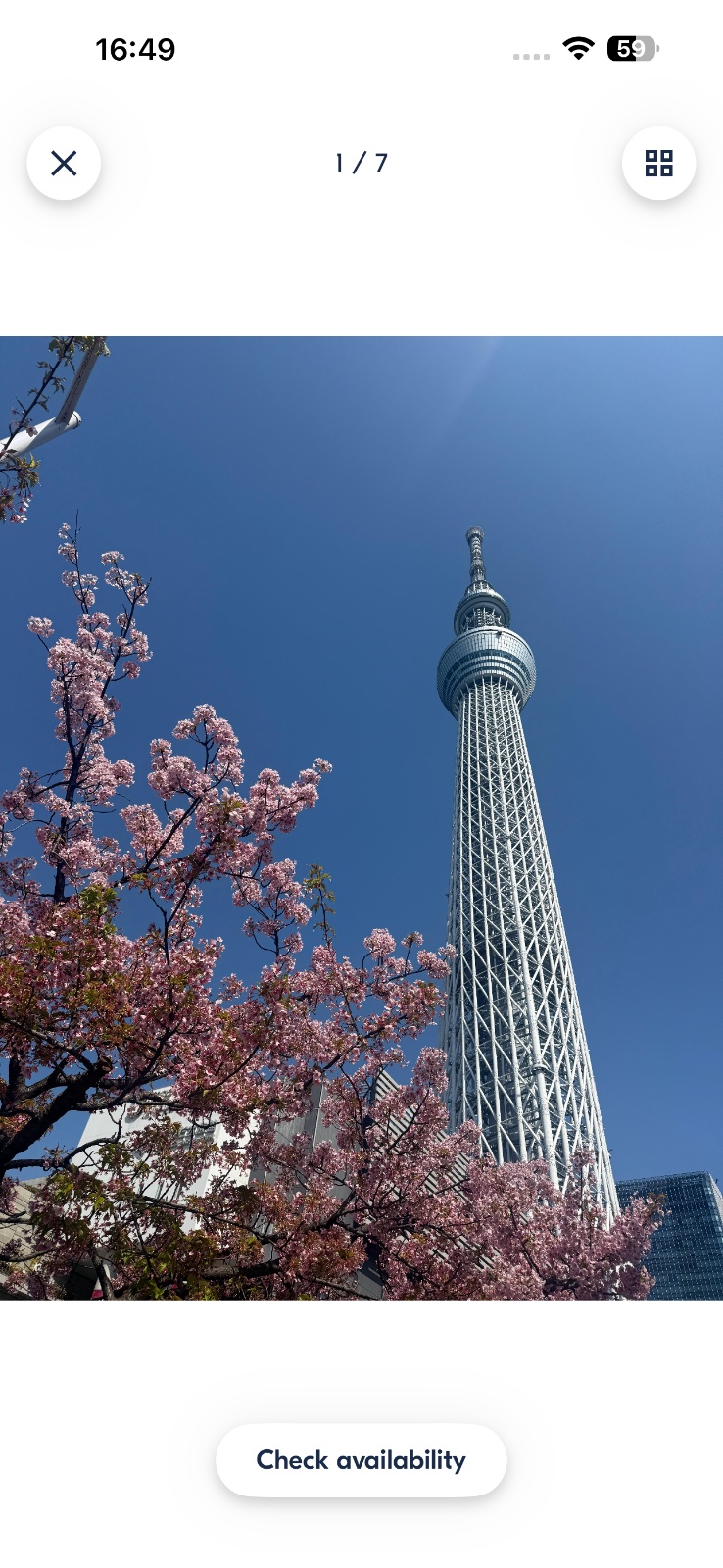 Tokyo city tour