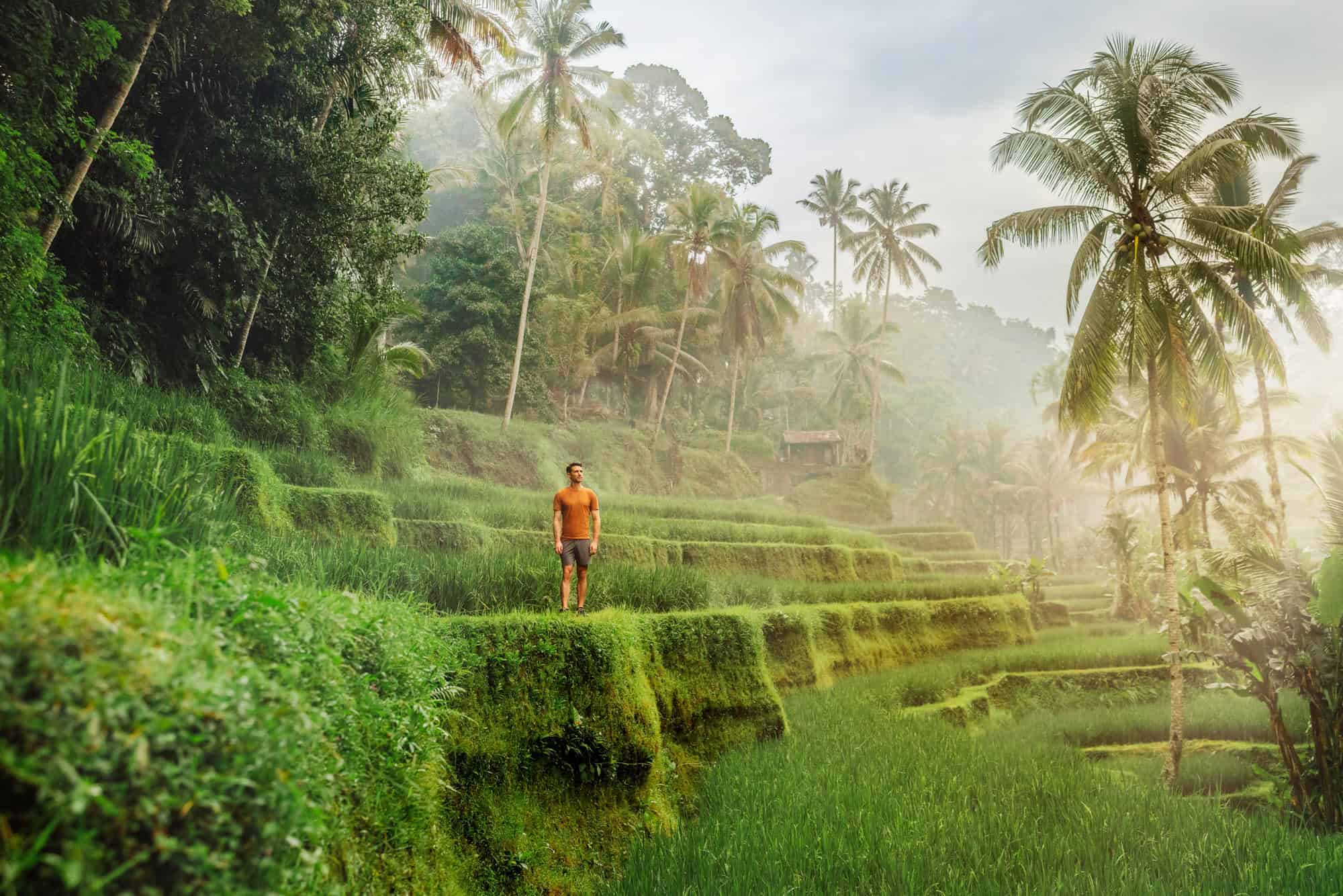 Tegallalang Rice Terrace
