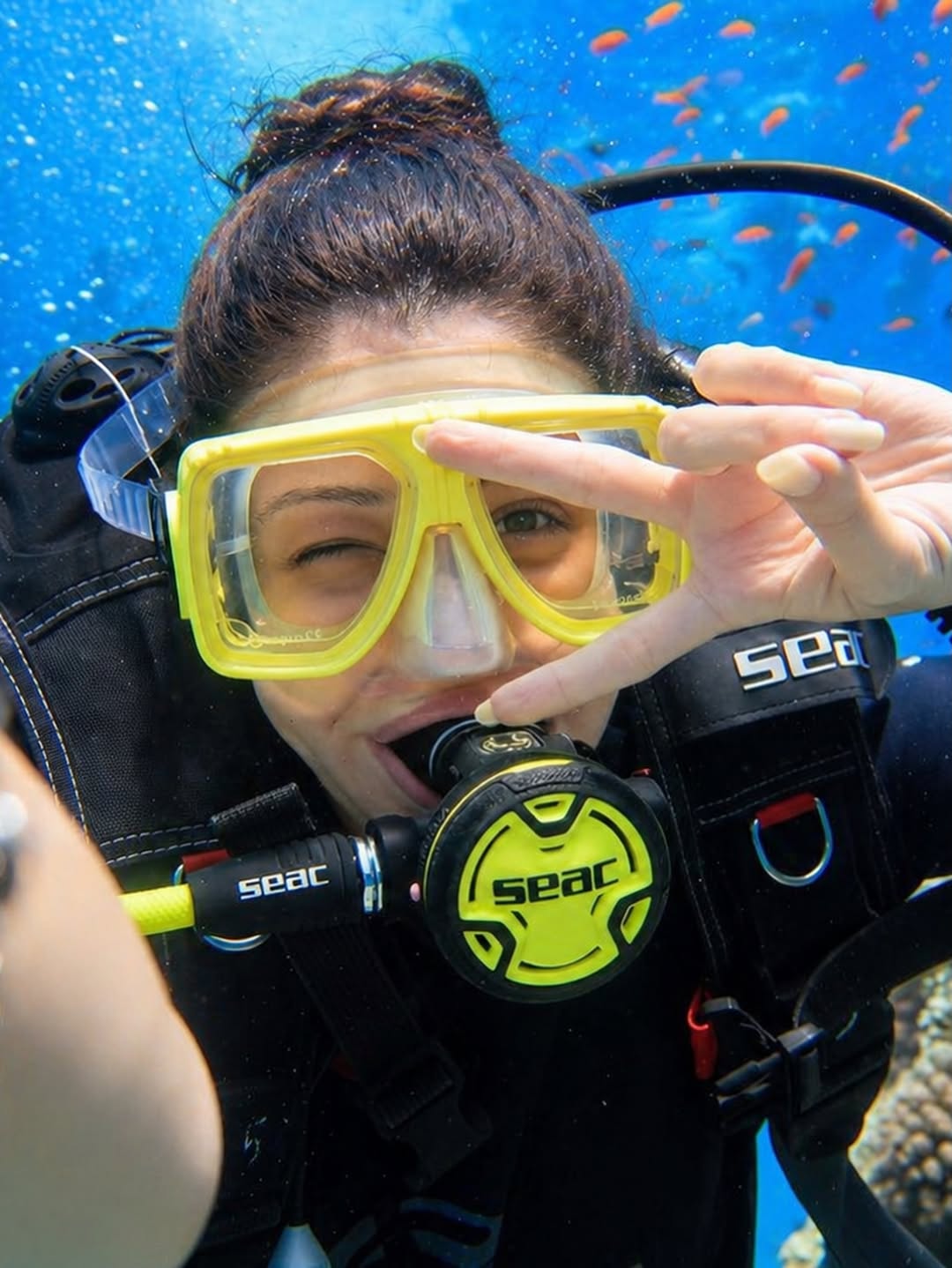 Diving - Red Sea Magic] 🤿🌊 ​Title: Daily Diving Trip Hurghada | Explore the Be