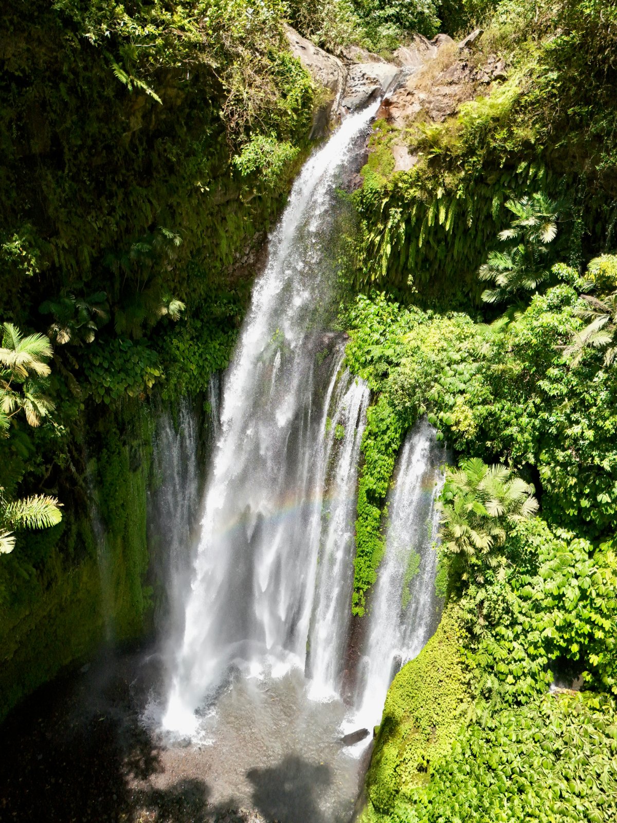 Why Choose Lombok