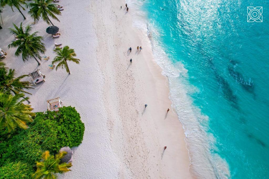 Zanzibar Beach Relaxation