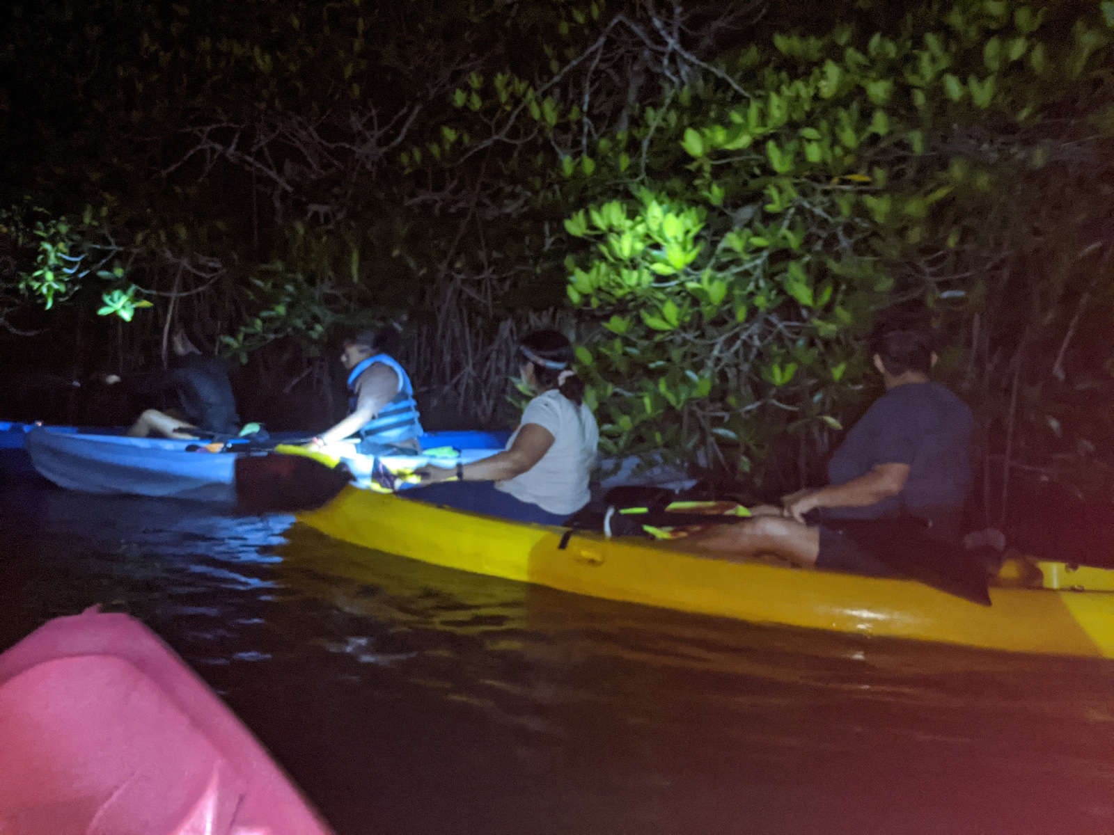 HOPKINS BIOLUMINESCENCE NIGHT KAYAKING