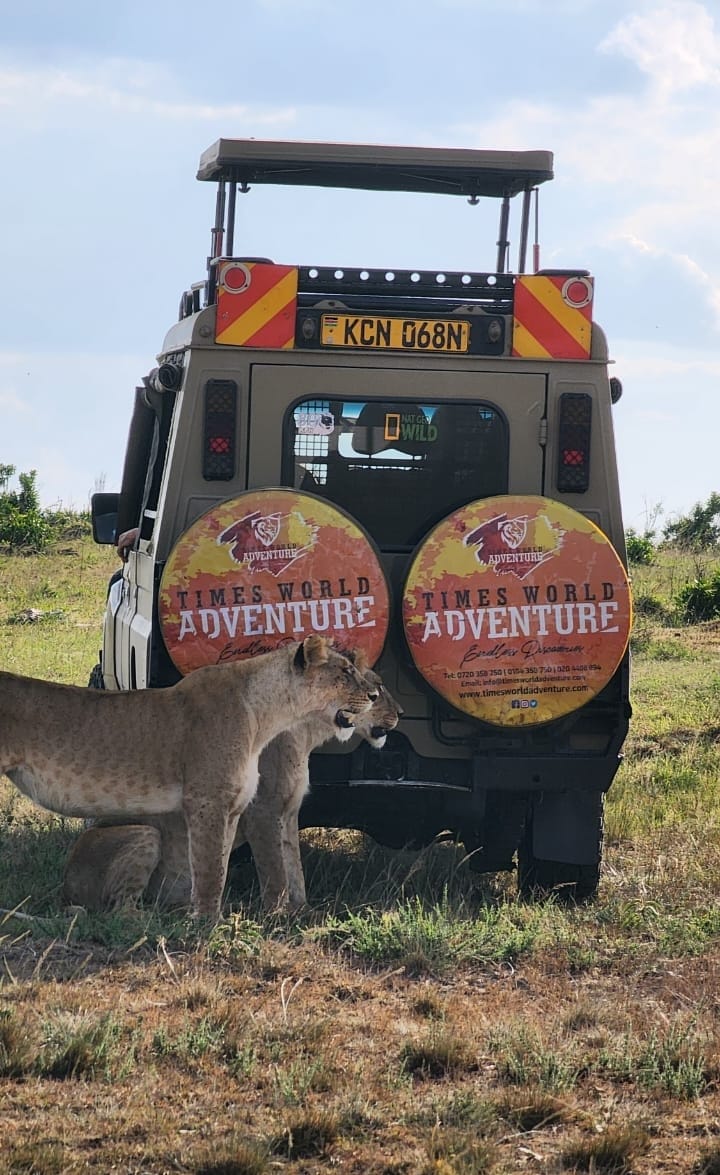 MASAI MARA