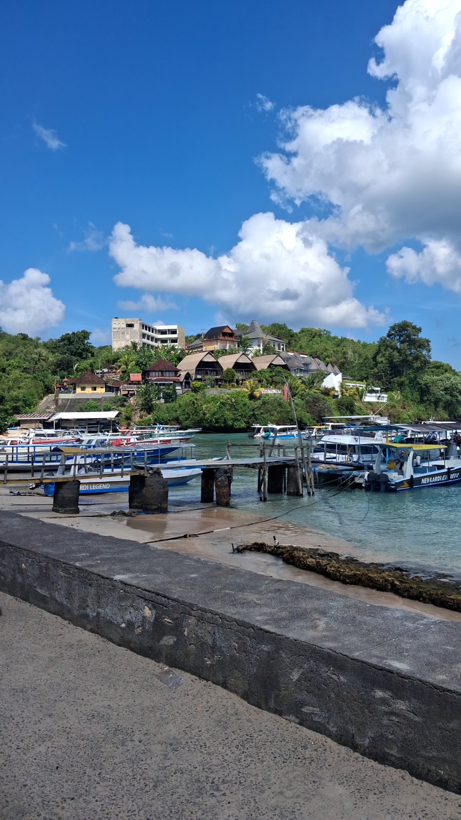 Snorkeling point to start