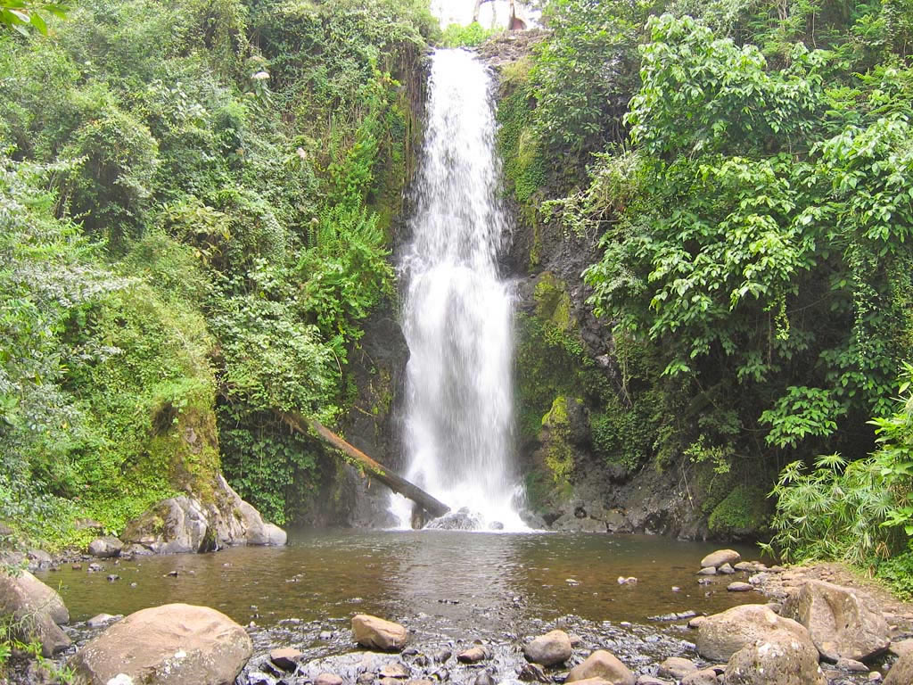 Materuni Waterfalls & Coffee Tour | Best Day Trip from Moshi, Tanzania