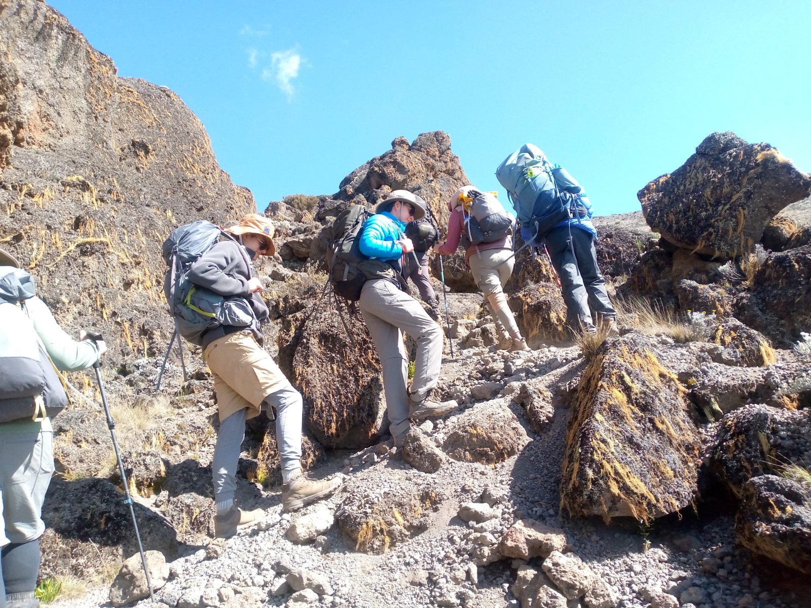 8 Days Lemosho Route Climbing Mount Kilimanjaro | Scenic Trek & High Summit Succ