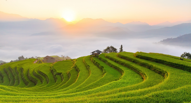 Ftrip Vietnam