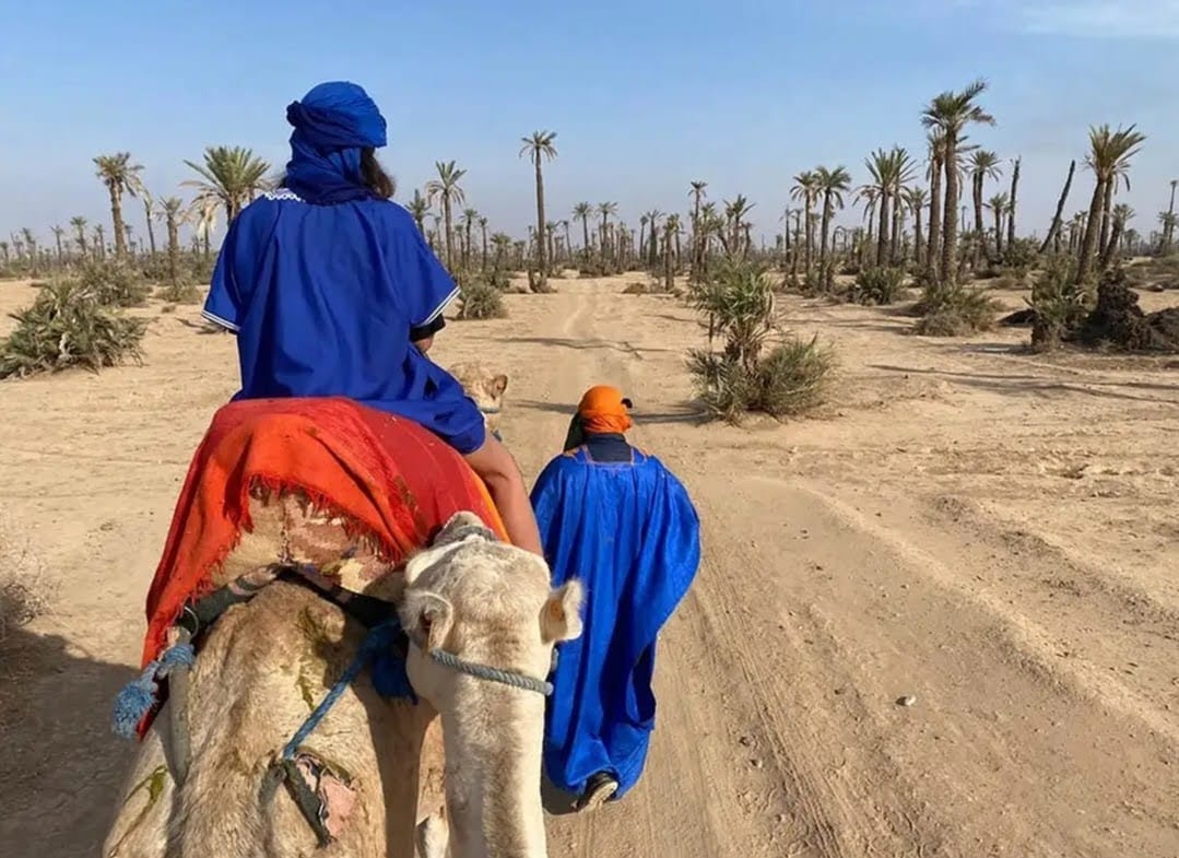 Camel Sunday