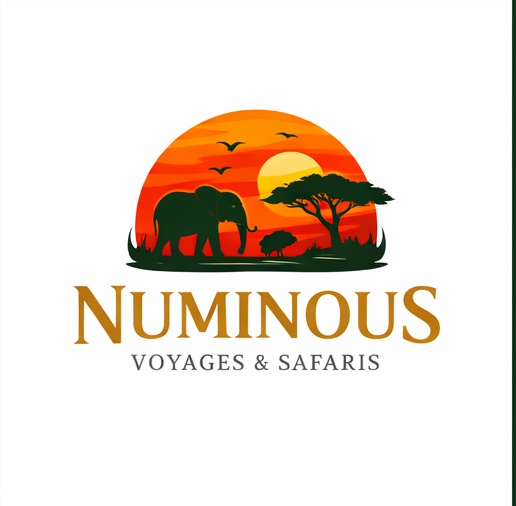Numinous Safaris Kenya