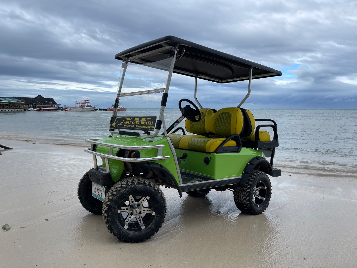 VIP GOLf CART RENTAL