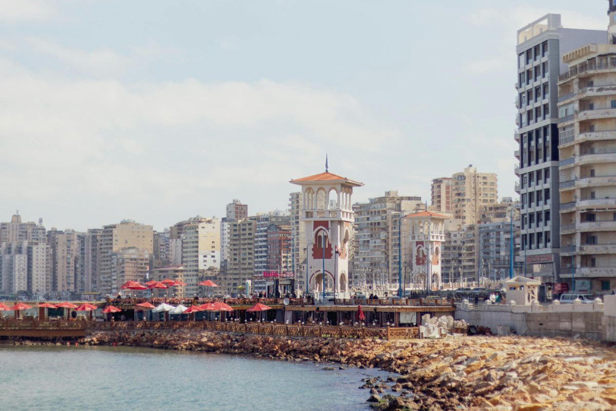 Full day in Alexandria