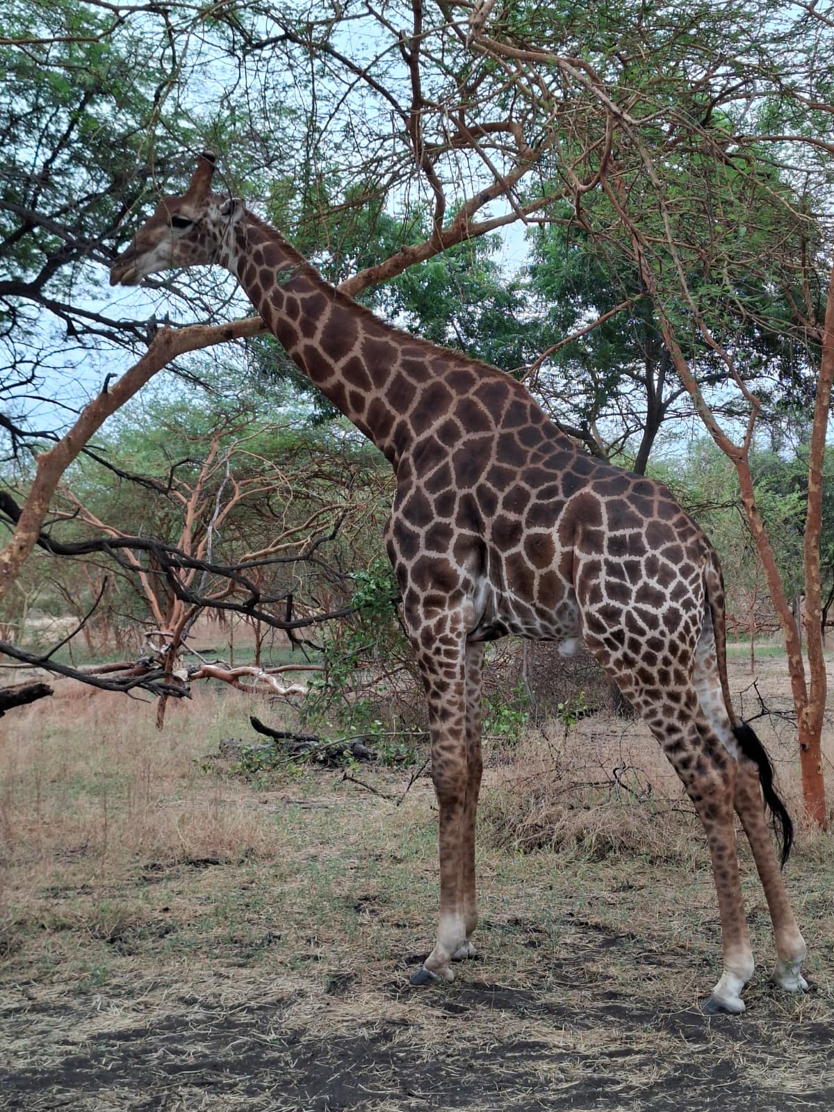 Senegal Voyages Découvertes