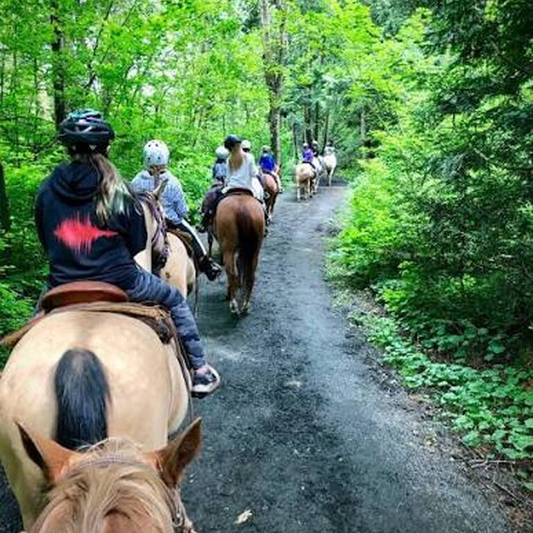 Horseback riding