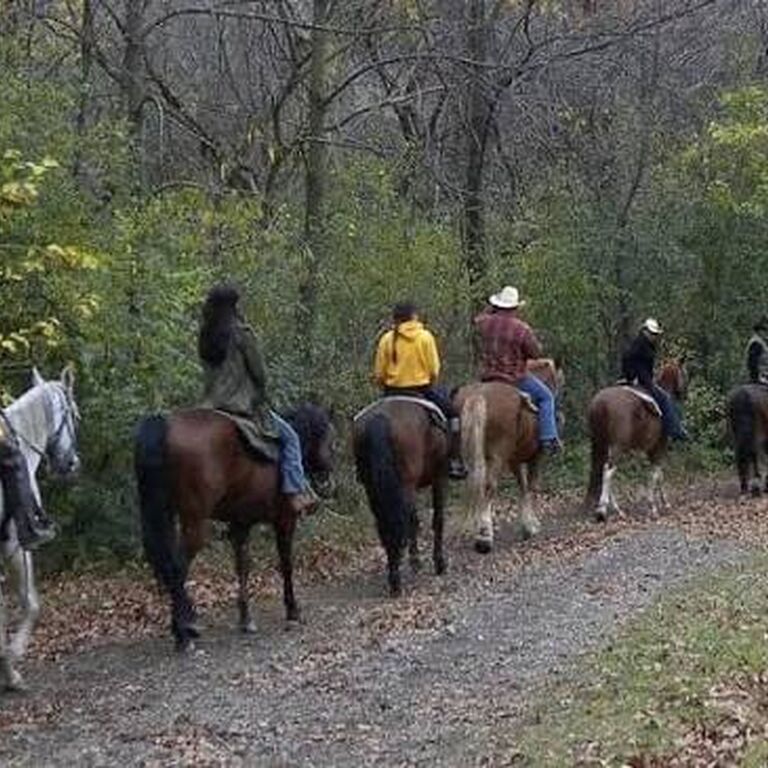 Horseback riding