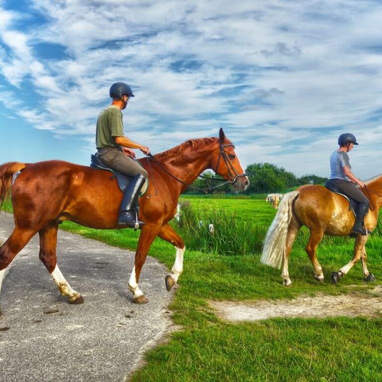 Horseback riding