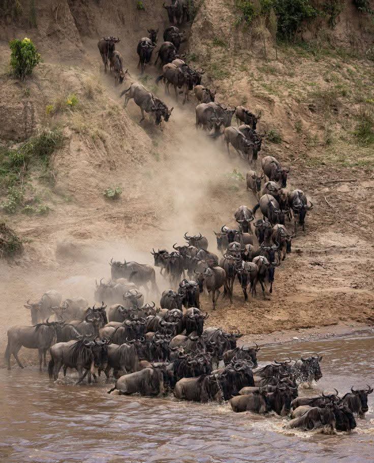AfricanPeaks Tours