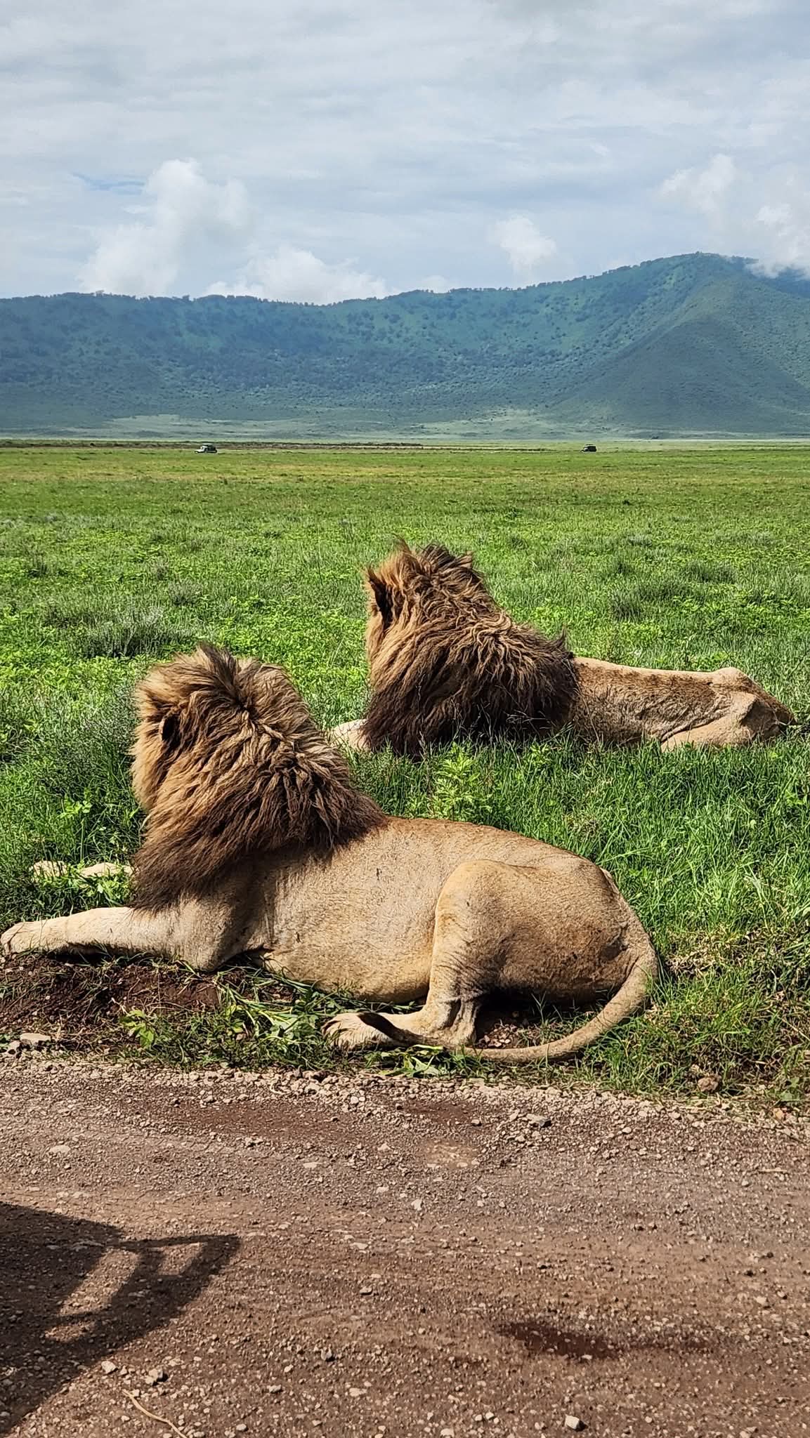 AfricanPeaks Tours