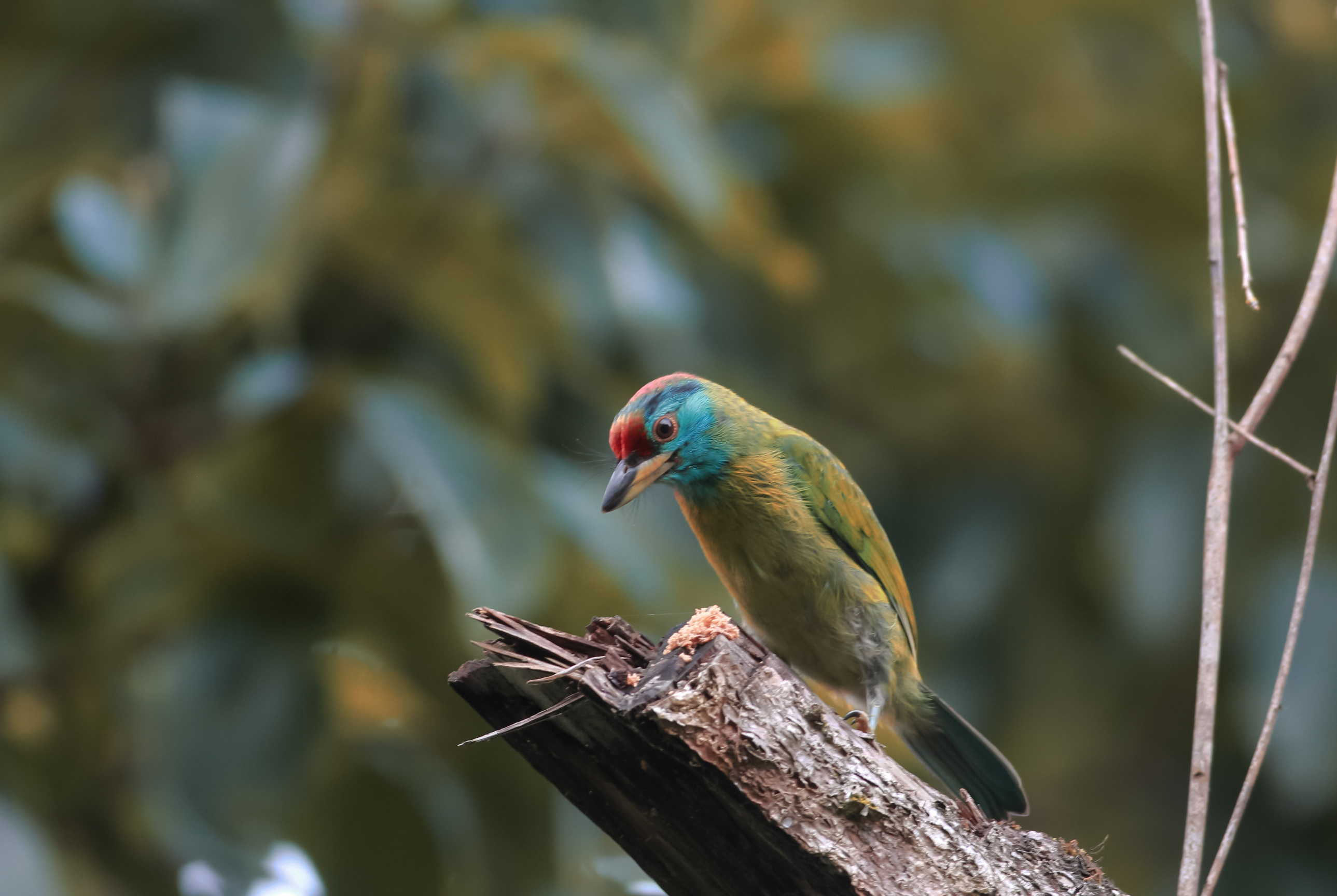 Affinity Bhutan Travel